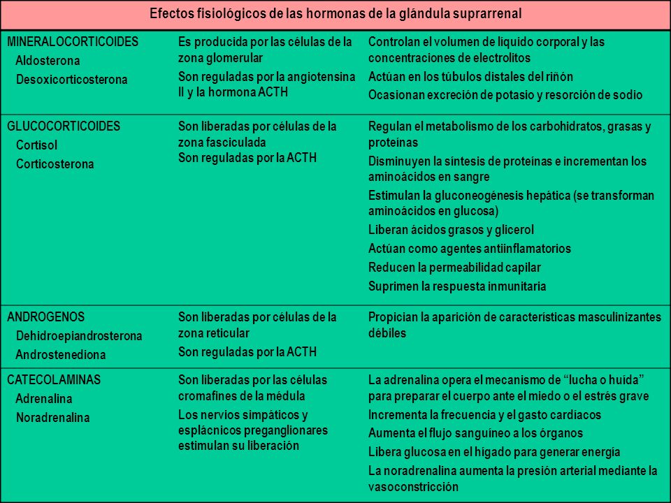 hormonas que libera glandulas suprarrenales hormonas que libera glandulas suprarrenales